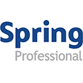 Praca Spring Professional Poland