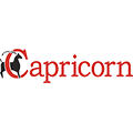 Praca Capricorn S.A.