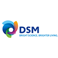 Praca DSM Nutritional Products
