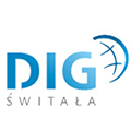 Praca DIG SERWIS