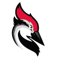 Praca Woodpecker.co