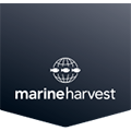 Praca Marine Harvest