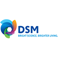 Praca DSM Nutritional Products